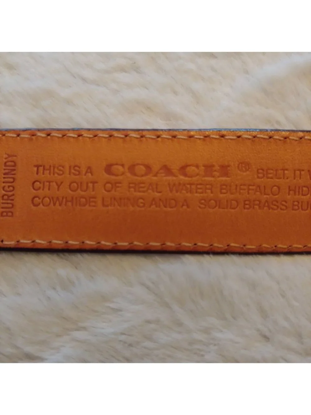 Coach Brown Leather Belt Brass Buckle Classic Preppy Quiet Luxury Designer 34